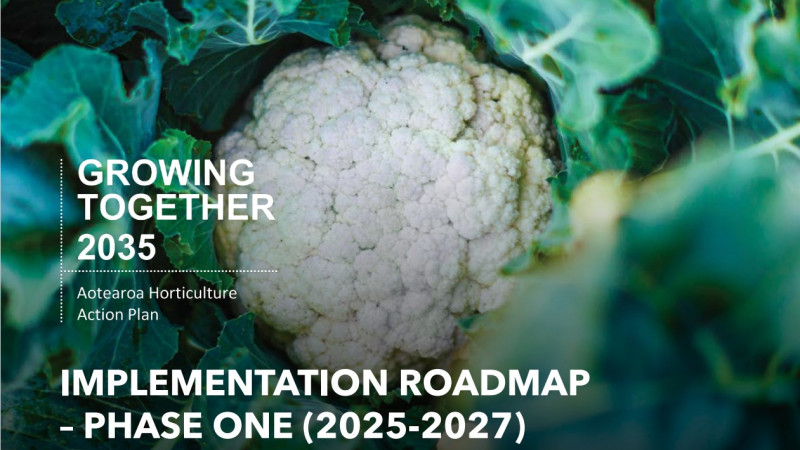 AHAP implementation roadmap (image website)