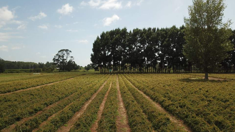 G 2 Small but mighty 8