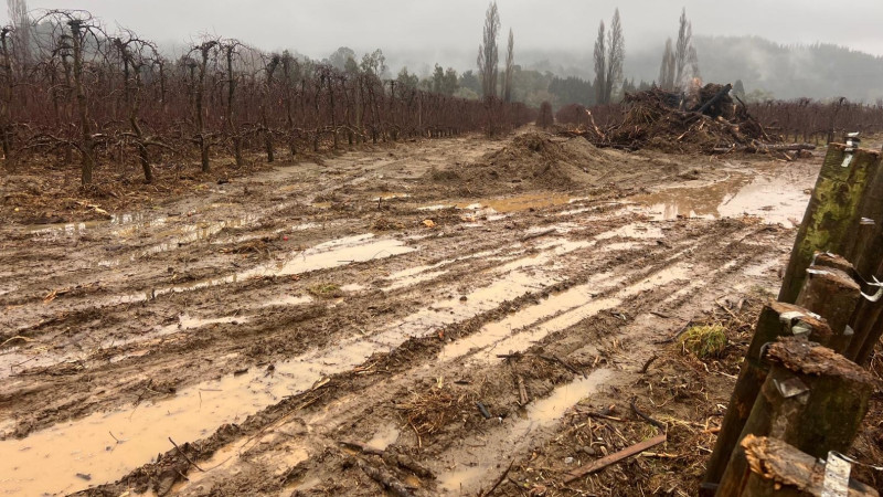 Nelson Tasman floods Web