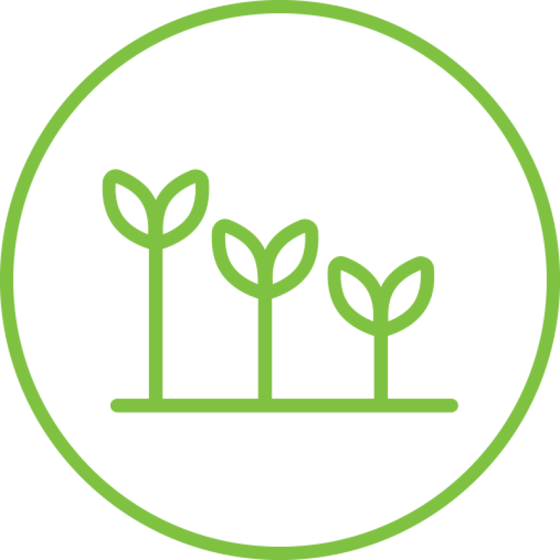 website splotch types of fruit and vegetables grown